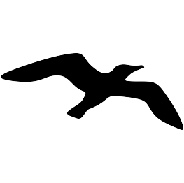 Seagull Silhouette