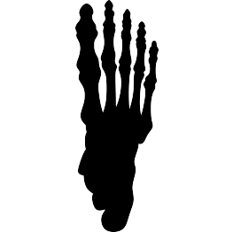 Skeleton Foot Silhouette