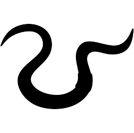 Worm Silhouette
